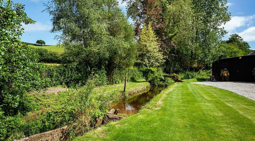 Photo of The Fairy Children