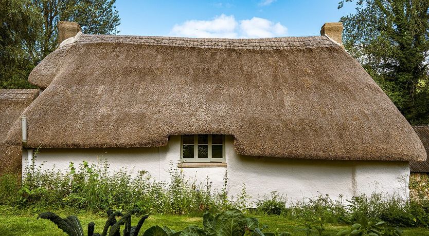 Photo of The Fairy Children