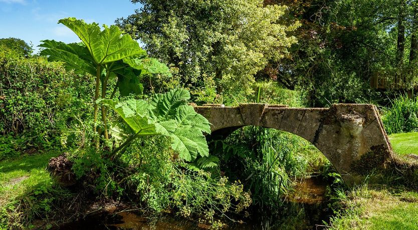 Photo of The Fairy Children