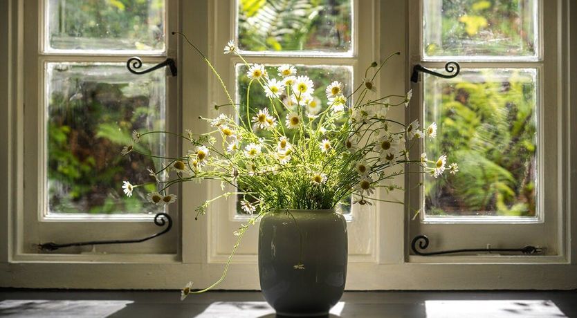 Photo of The Fairy Children