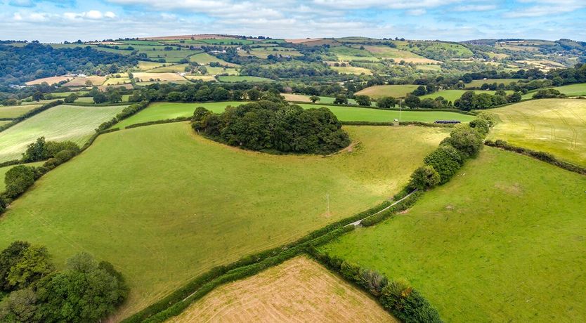Photo of The Fairy Children