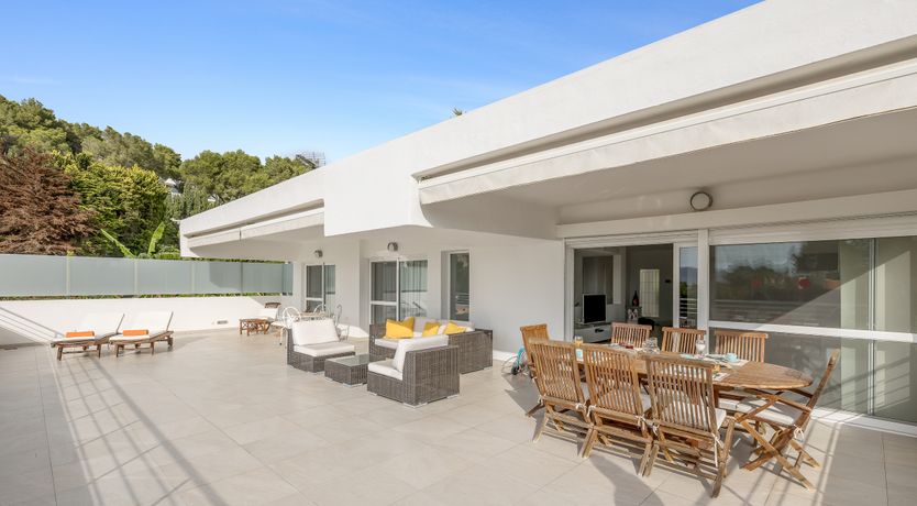 Photo of Sun-Drenched Dreamtime