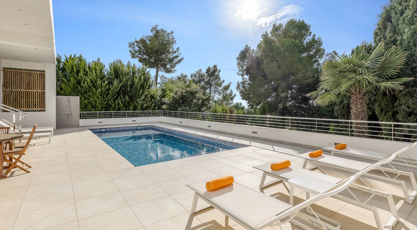 Photo of Sun-Drenched Dreamtime