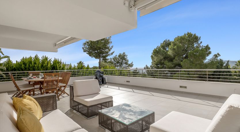 Photo of Sun-Drenched Dreamtime