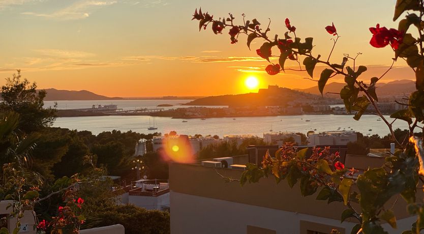 Photo of Ibizan Modern