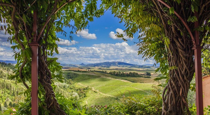 Photo of Tuscan Liberty