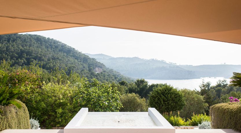 Photo of Pomegranates & Palms