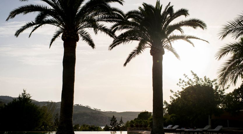 Photo of Pomegranates & Palms