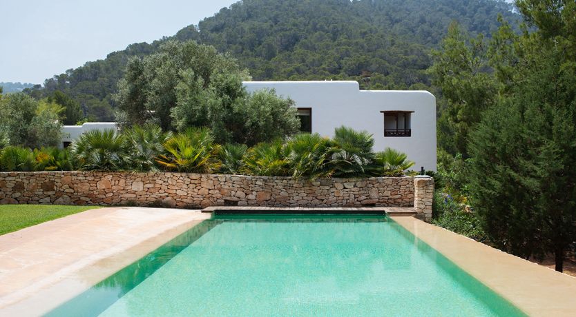 Photo of Pomegranates & Palms