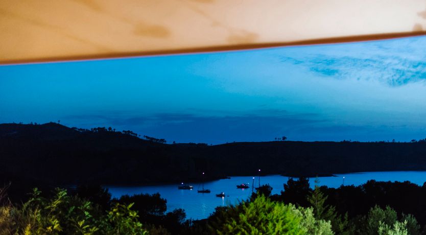 Photo of Pomegranates & Palms