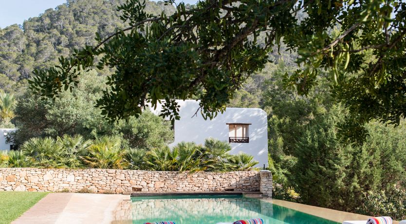 Photo of Pomegranates & Palms