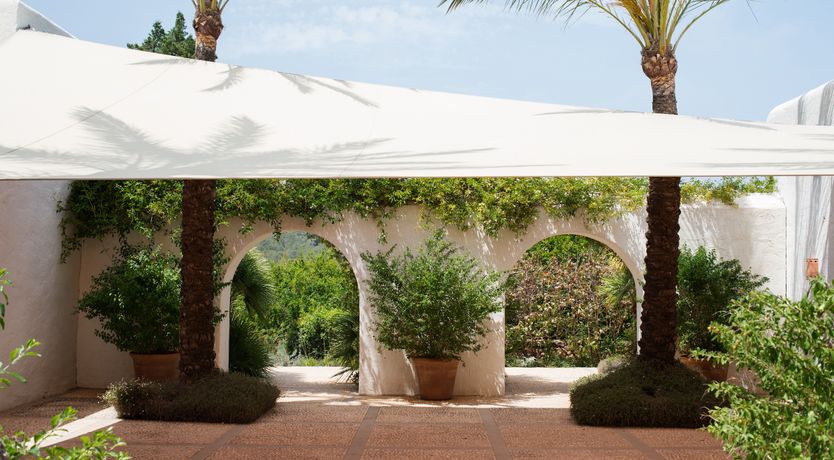 Photo of Pomegranates & Palms