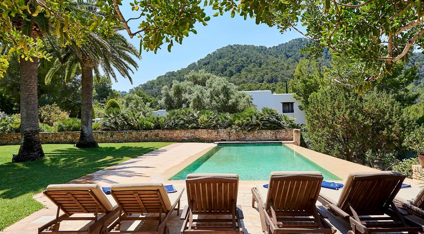 Photo of Pomegranates & Palms