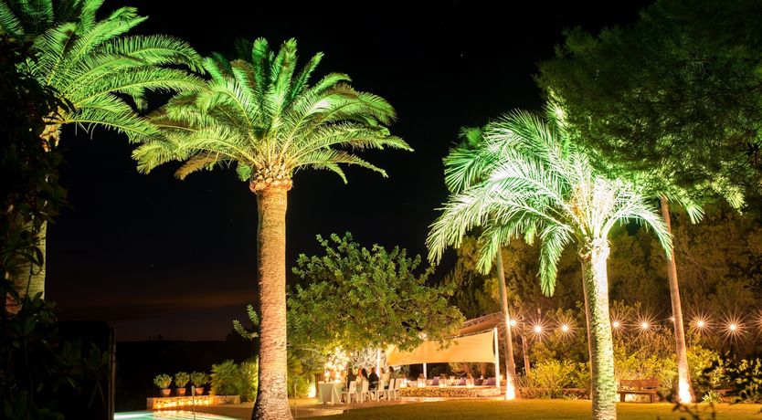 Photo of Pomegranates & Palms