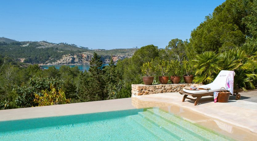 Photo of Pomegranates & Palms