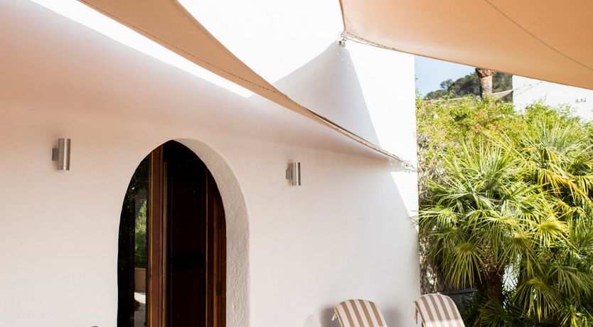 Photo of Pomegranates & Palms