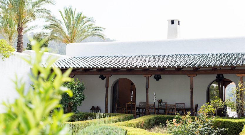 Photo of Pomegranates & Palms