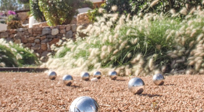 Photo of Shimmering Sunlight