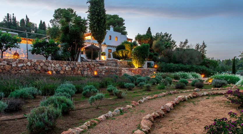 Photo of Shimmering Sunlight