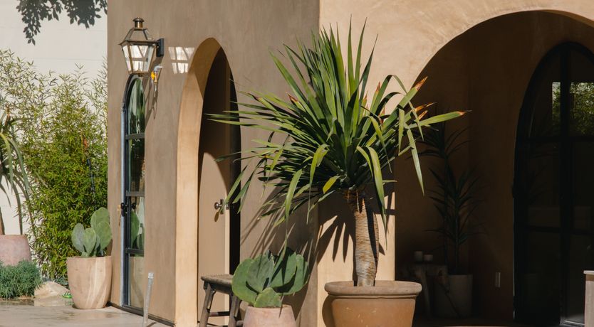 Photo of Sunset Charm