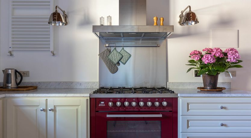 Photo of The Vine Song