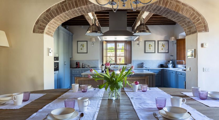 Photo of The Vine Song