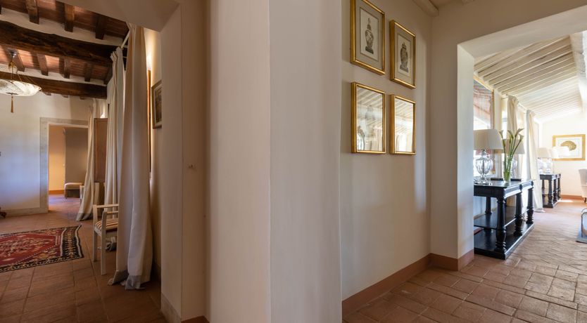 Photo of The Vine Song