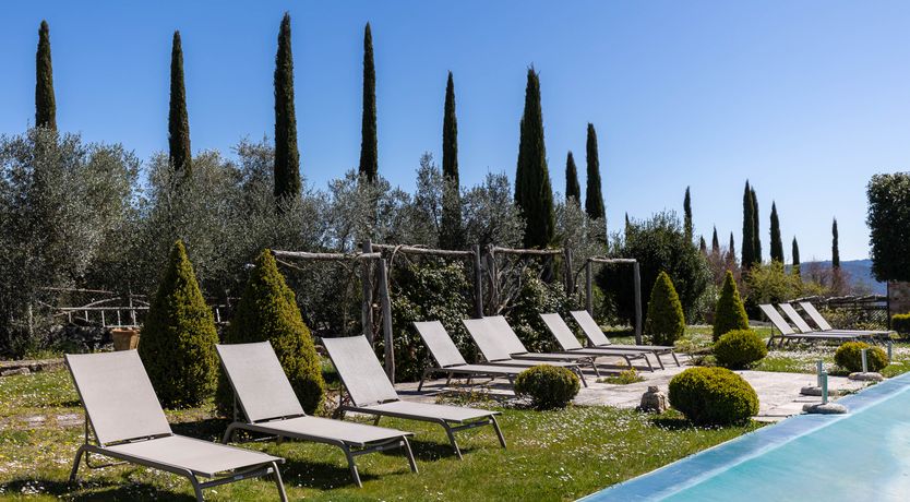 Photo of The Vine Song