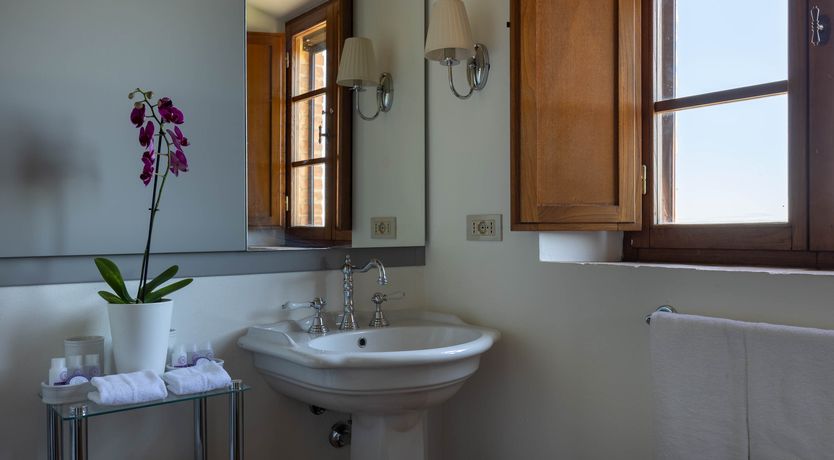 Photo of The Vine Song