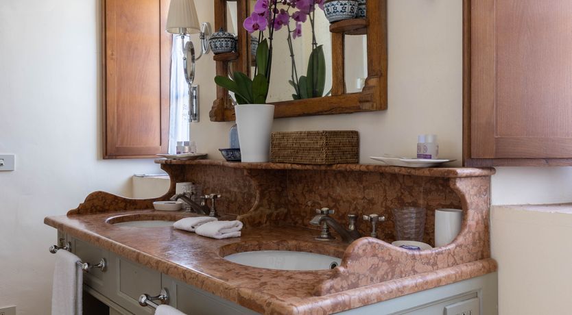 Photo of The Vine Song