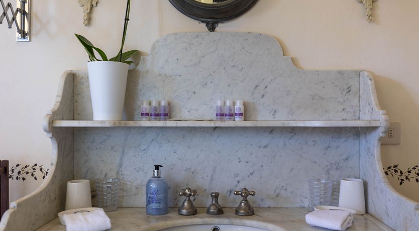 Photo of The Vine Song