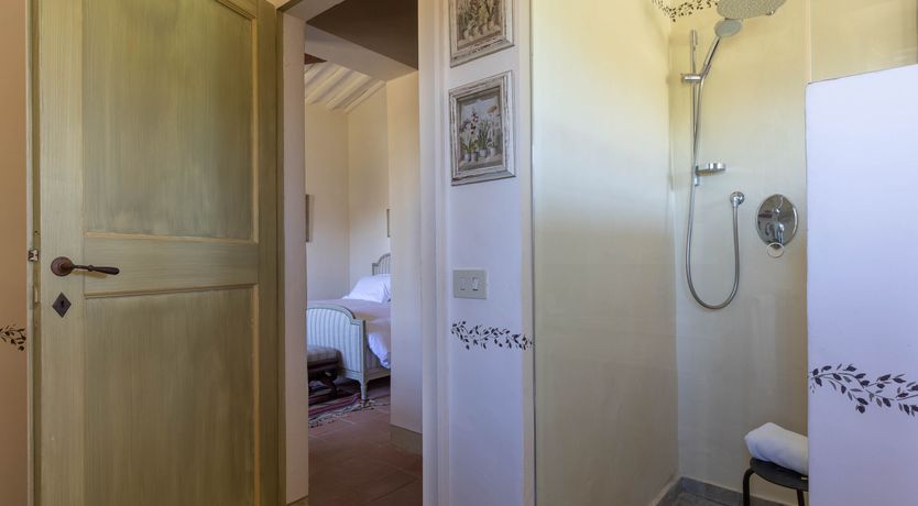 Photo of The Vine Song