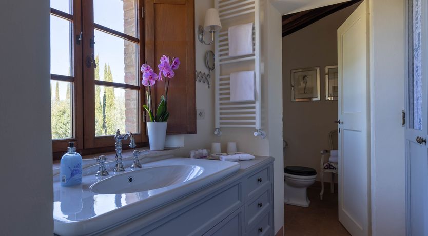 Photo of The Vine Song