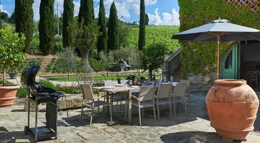 Photo of The Vineyard Dreams