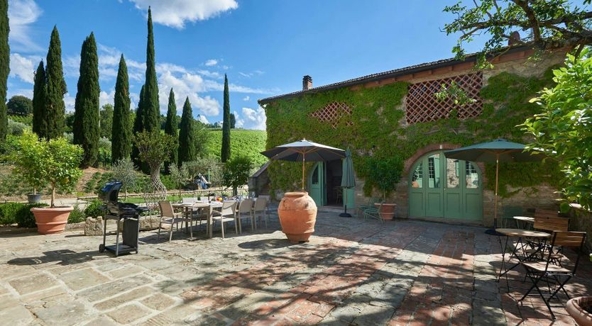 Photo of The Vineyard Dreams