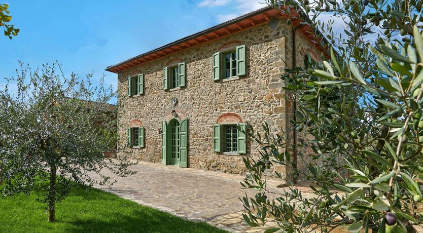 Photo of The Vineyard Dreams