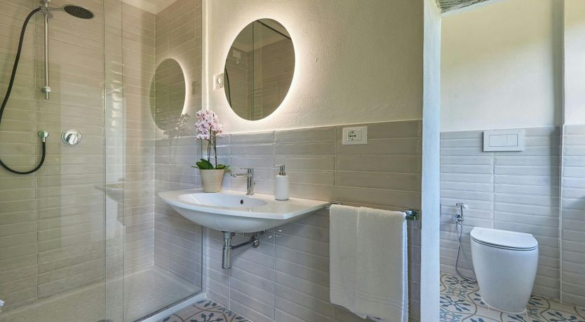 Photo of The Vineyard Dreams