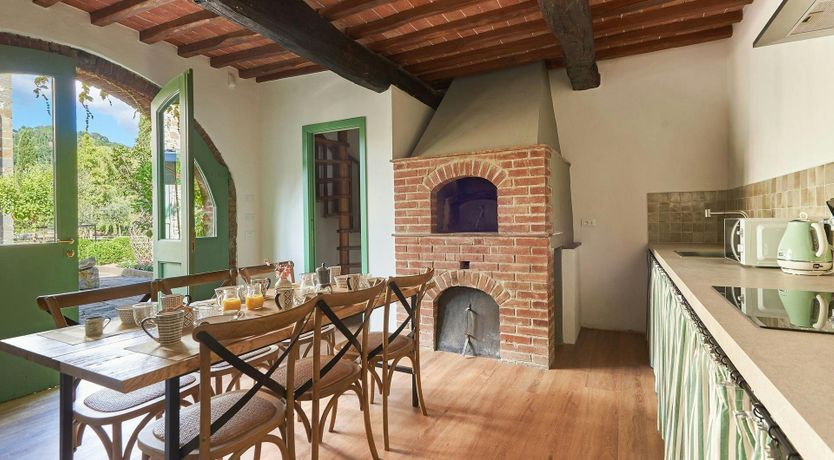 Photo of The Vineyard Dreams