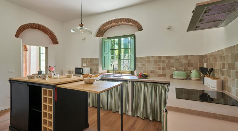 Photo of The Vineyard Dreams