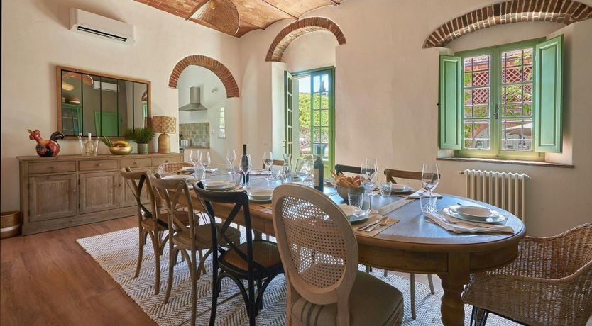 Photo of The Vineyard Dreams