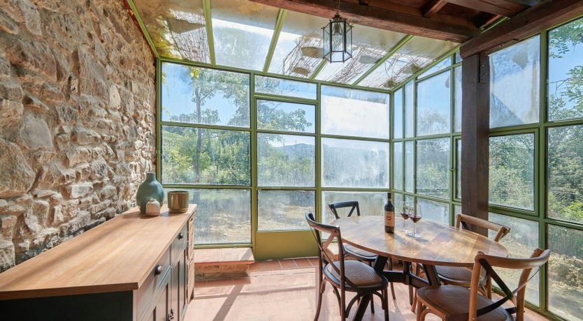 Photo of The Vineyard Dreams