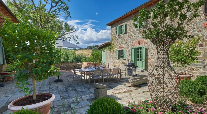 Photo of The Vineyard Dreams