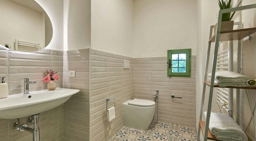 Photo of The Vineyard Dreams