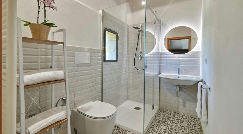 Photo of The Vineyard Dreams