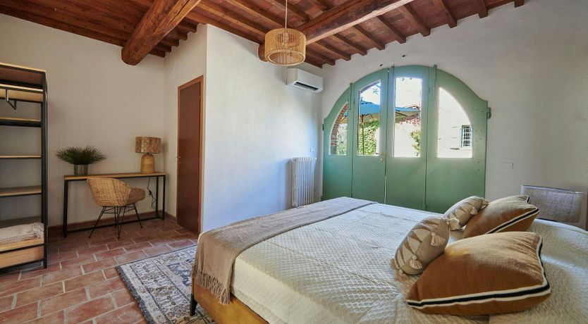 Photo of The Vineyard Dreams