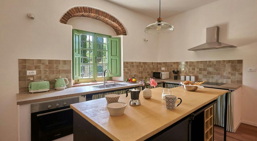 Photo of The Vineyard Dreams