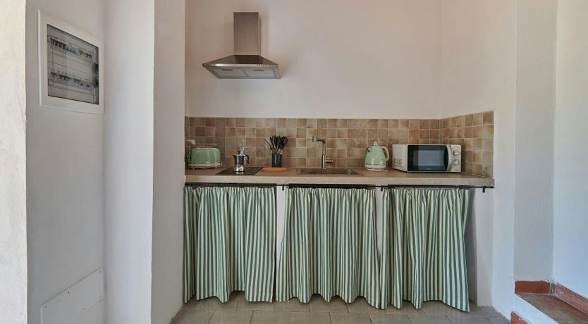 Photo of The Vineyard Dreams