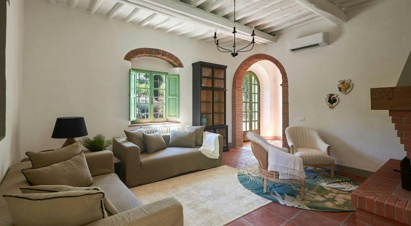 Photo of The Vineyard Dreams