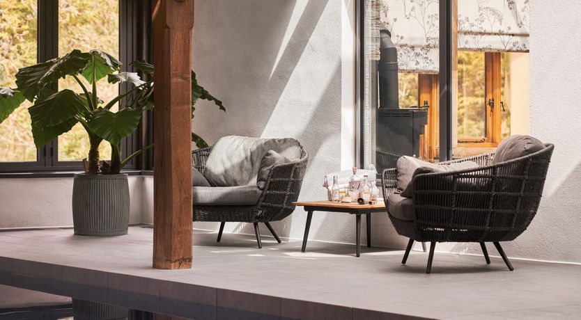 Photo of Woodland Wonders