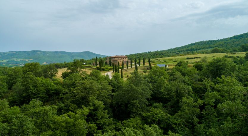 Photo of Bucine Bliss